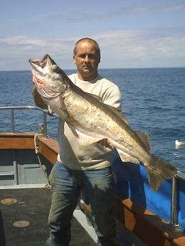 26lb pollock