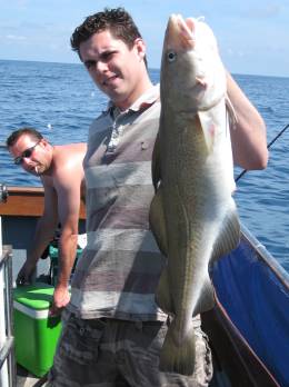cod
