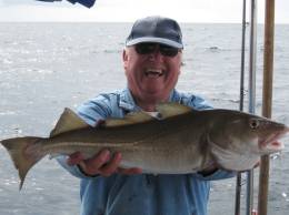 cod