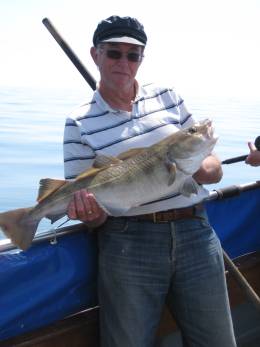 cod