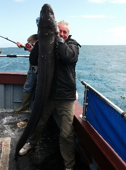 60lb conger