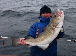 20lb cod - CLICK 20lb cod - CLICK