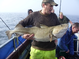 28lb cod