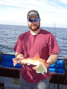 gurnard