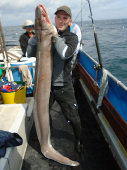 81lb conger