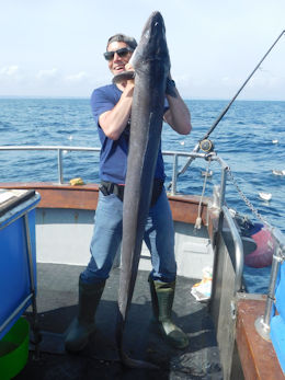 52lb conger